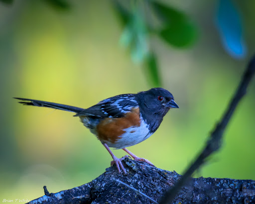 Park «Anderson River Park», reviews and photos