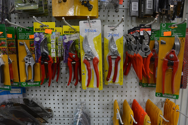 Laranja & Tangerinas, Lda. - Verdureiro