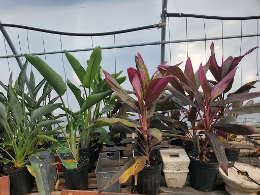 Garden Center «Beachside Gardens & Gifts», reviews and photos, 3725 US-12, Michigan City, IN 46360, USA