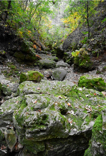 Park «Valley View Park», reviews and photos, 5575 Ozark Avenue North, Oak Park Heights, MN 55082, USA