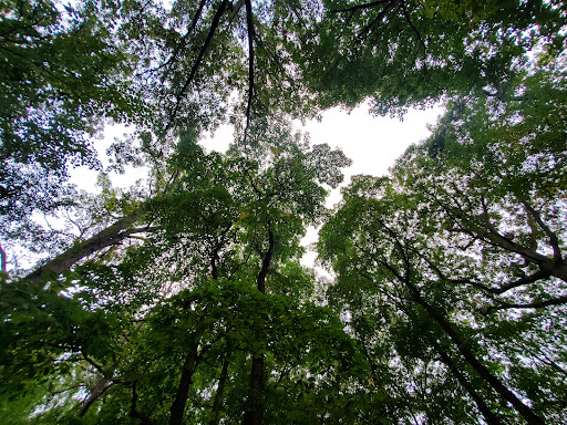 State Park «Patapsco Valley State Park», reviews and photos, 8020 Baltimore National Pike, Ellicott City, MD 21043, USA