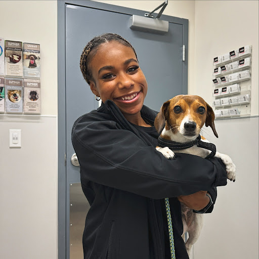 Sumner Veterinary Hospital image