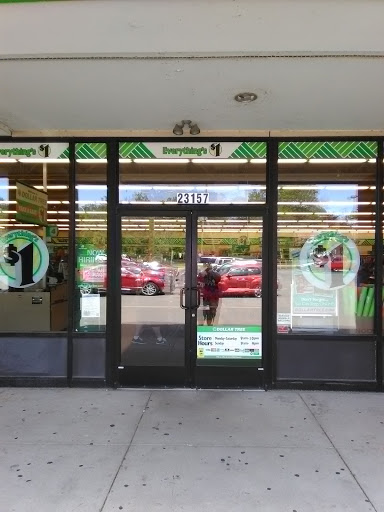 Dollar Store «Dollar Tree», reviews and photos, 23157 Telegraph Rd, Brownstown Charter Twp, MI 48134, USA