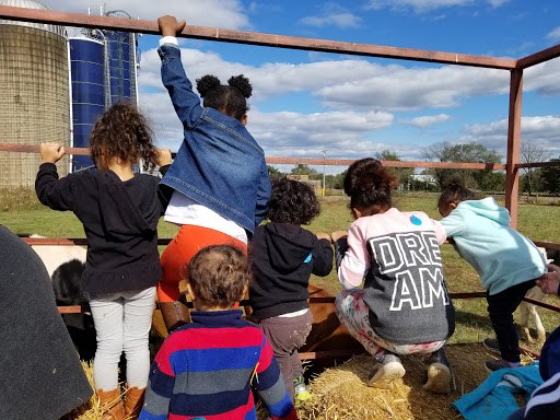 Dairy Farm «Cows-N-Corn», reviews and photos, 5225 Catlett Rd, Midland, VA 22728, USA