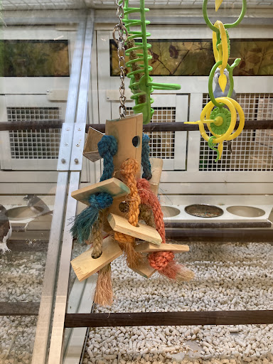 Pet Supply Store «PetSmart», reviews and photos, 2840 W Chandler Blvd, Chandler, AZ 85224, USA