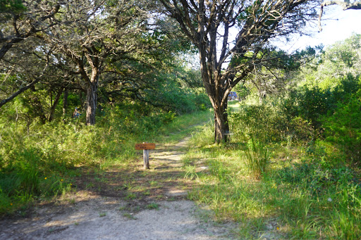 Non-Profit Organization «Westcave Outdoor Discovery Center», reviews and photos, 24814 Hamilton Pool Rd, Round Mountain, TX 78663, USA