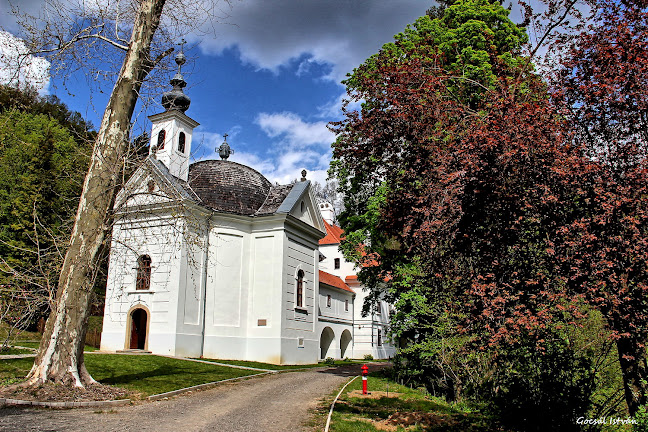 Szent László-templom - Templom