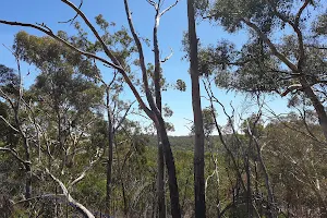 Belair National Park Volunteer Centre image