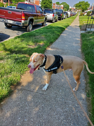 Shopping Mall «Merritt Park Shopping Center», reviews and photos, 1762 Merritt Blvd, Dundalk, MD 21222, USA