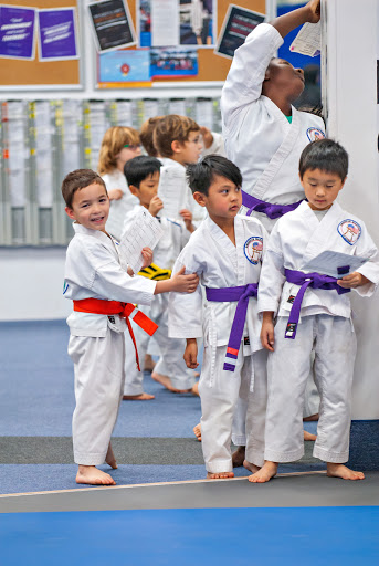 American Martial Arts Academy image