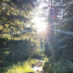 Photo n°5 de l'avis de h1977. fait le 13/09/2023 à 10:05 sur le  Badl im Mühlbacher Talele à Gais