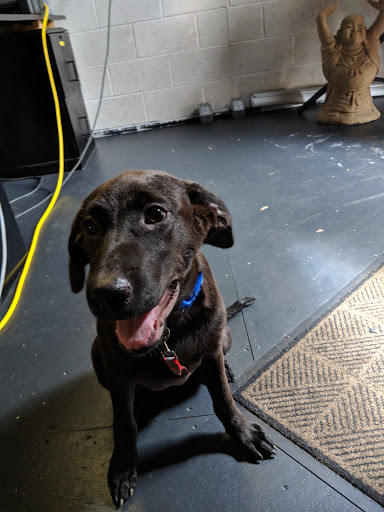 Country Pet Specialties