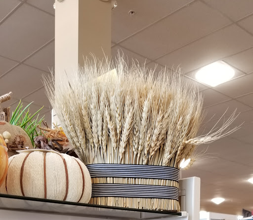 Department Store «HomeGoods», reviews and photos, 5100 Jonestown Rd, Harrisburg, PA 17112, USA