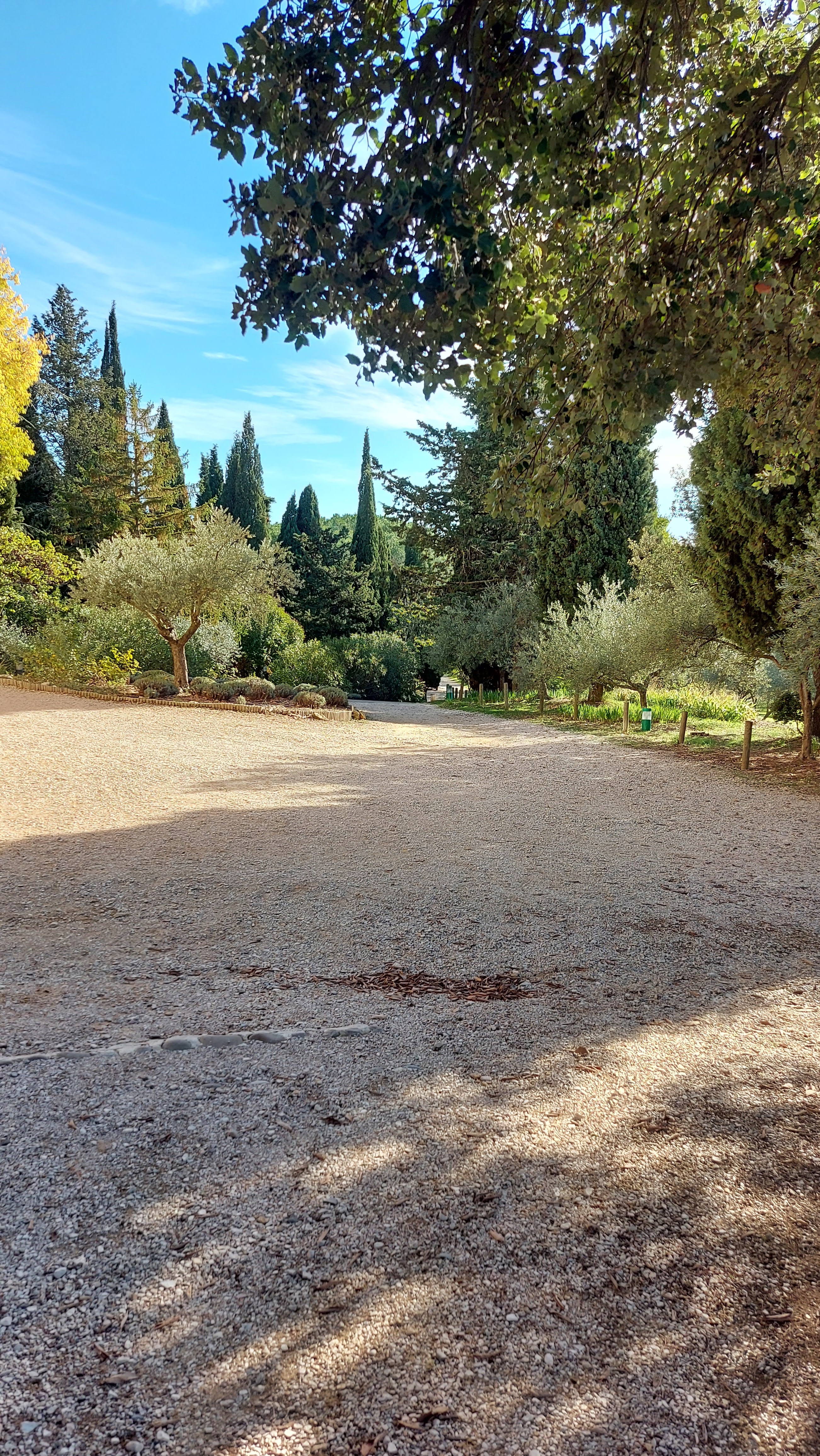 Photo n° 2 de l'avis de myrtille58. fait le 02/11/2021 à 17:24