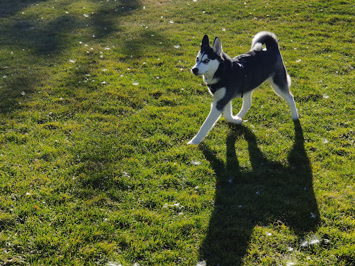 Park «Bell Roth Park», reviews and photos, Milky Way, Thornton, CO 80260, USA