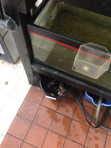 eden pets supplies & aquarium