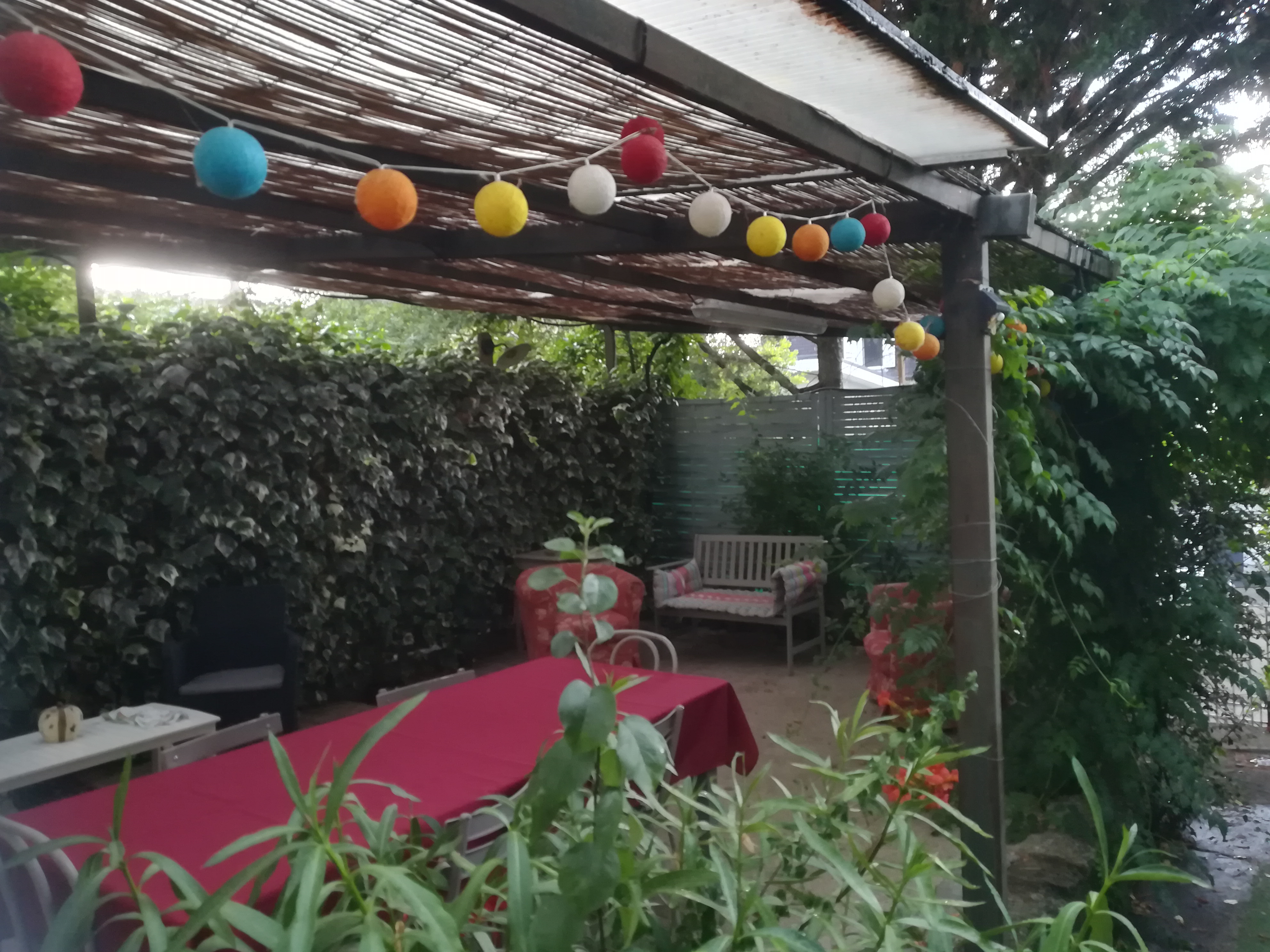 Photo n° 2 de l'avis de SylvieB.4 fait le 08/07/2019 à 14:24