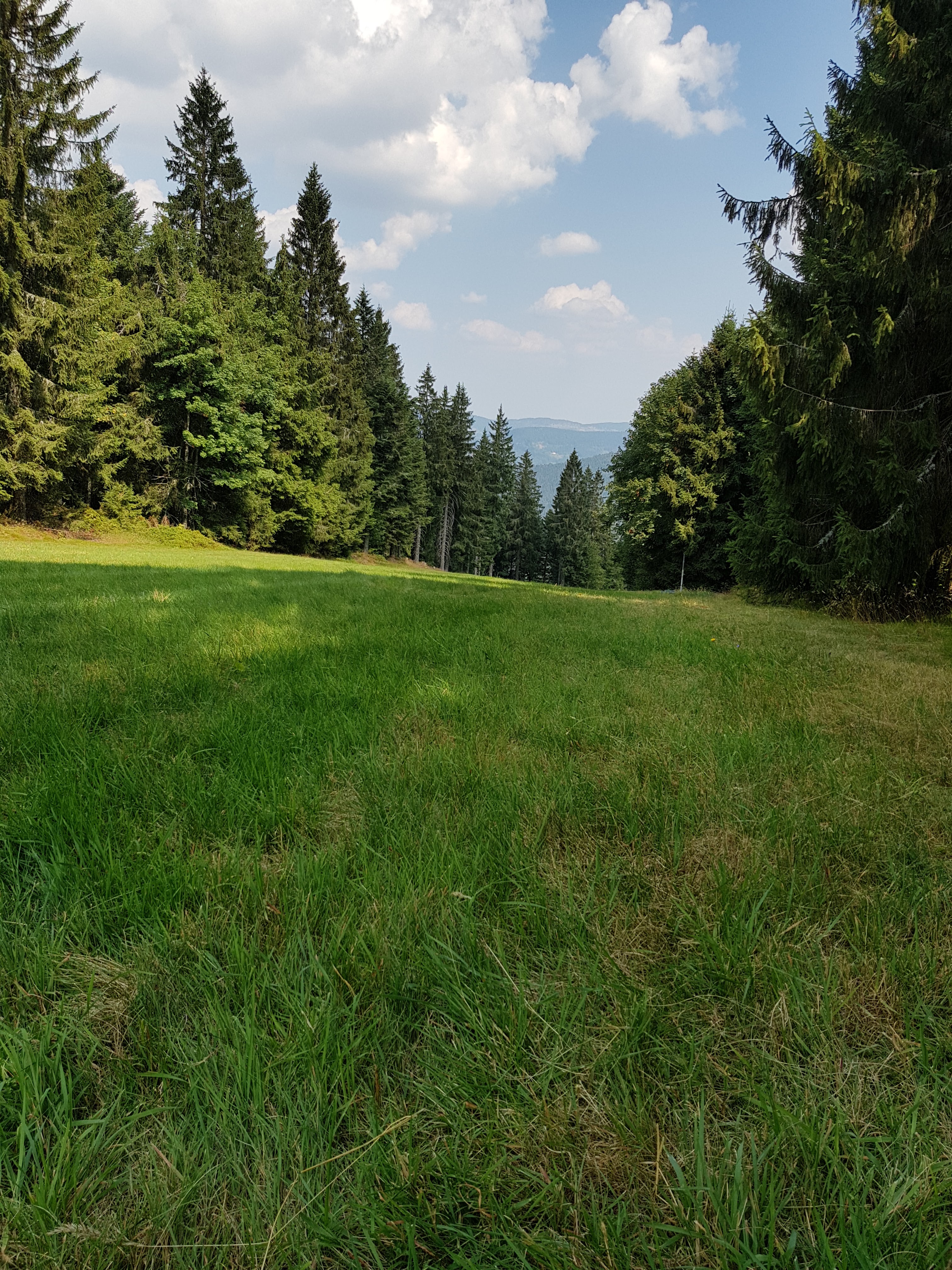 Photo n° 1 de l'avis de Brigitte.I fait le 24/08/2018 à 06:19