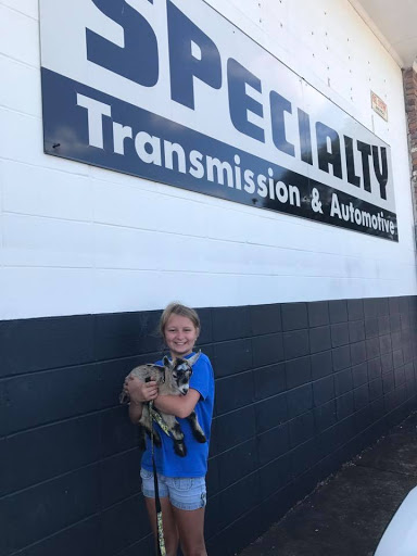 Auto Repair Shop «Specialty Transmission & Auto», reviews and photos, 3927 Government Blvd # H, Mobile, AL 36693, USA