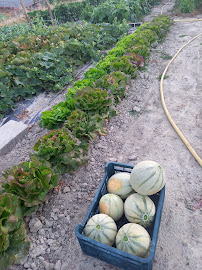 Photos du propriétaire du Restaurant français Le Chai de Béa à Cambernard - n°13