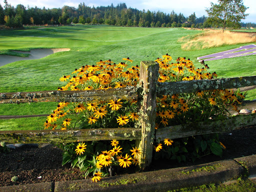 Golf Course «Washington National Golf Club», reviews and photos, 14330 SE Husky Way, Auburn, WA 98092, USA