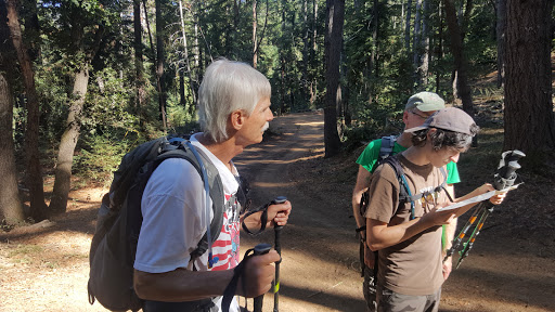 Soquel Demonstration State Forest image