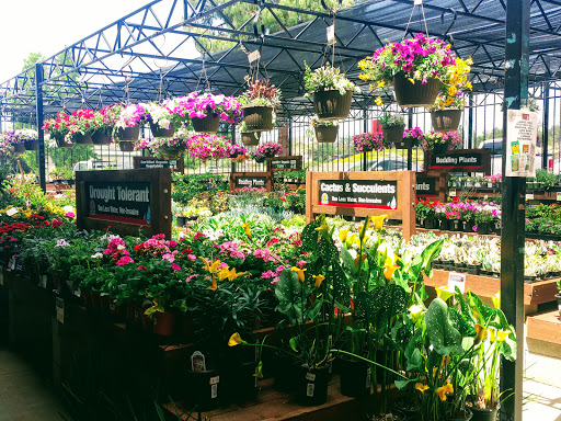 Hardware Store «DIY Home Center», reviews and photos, 28750 Roadside Dr, Agoura Hills, CA 91301, USA