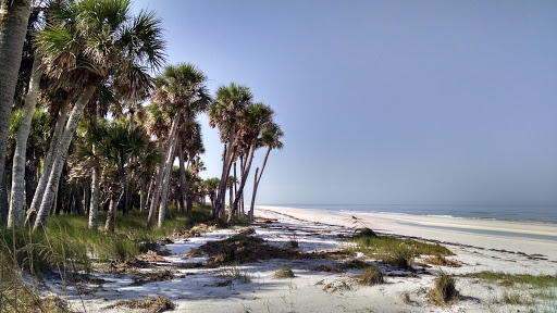 Anclote Key Preserve State Park