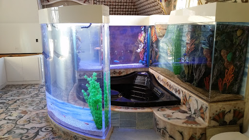 Tropical Fish Store «Aquarium Network», reviews and photos, 2435 Grand Ave, Bellmore, NY 11710, USA