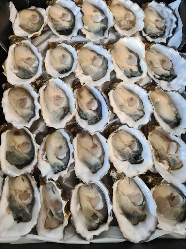 Oyster Obsession Pty Ltd