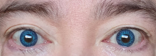 Optician «Site for Sore Eyes», reviews and photos, 300 W Portal Ave, San Francisco, CA 94127, USA