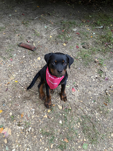 Pet Supply Store «PetSmart», reviews and photos, 2391 NJ-66, Ocean Township, NJ 07712, USA