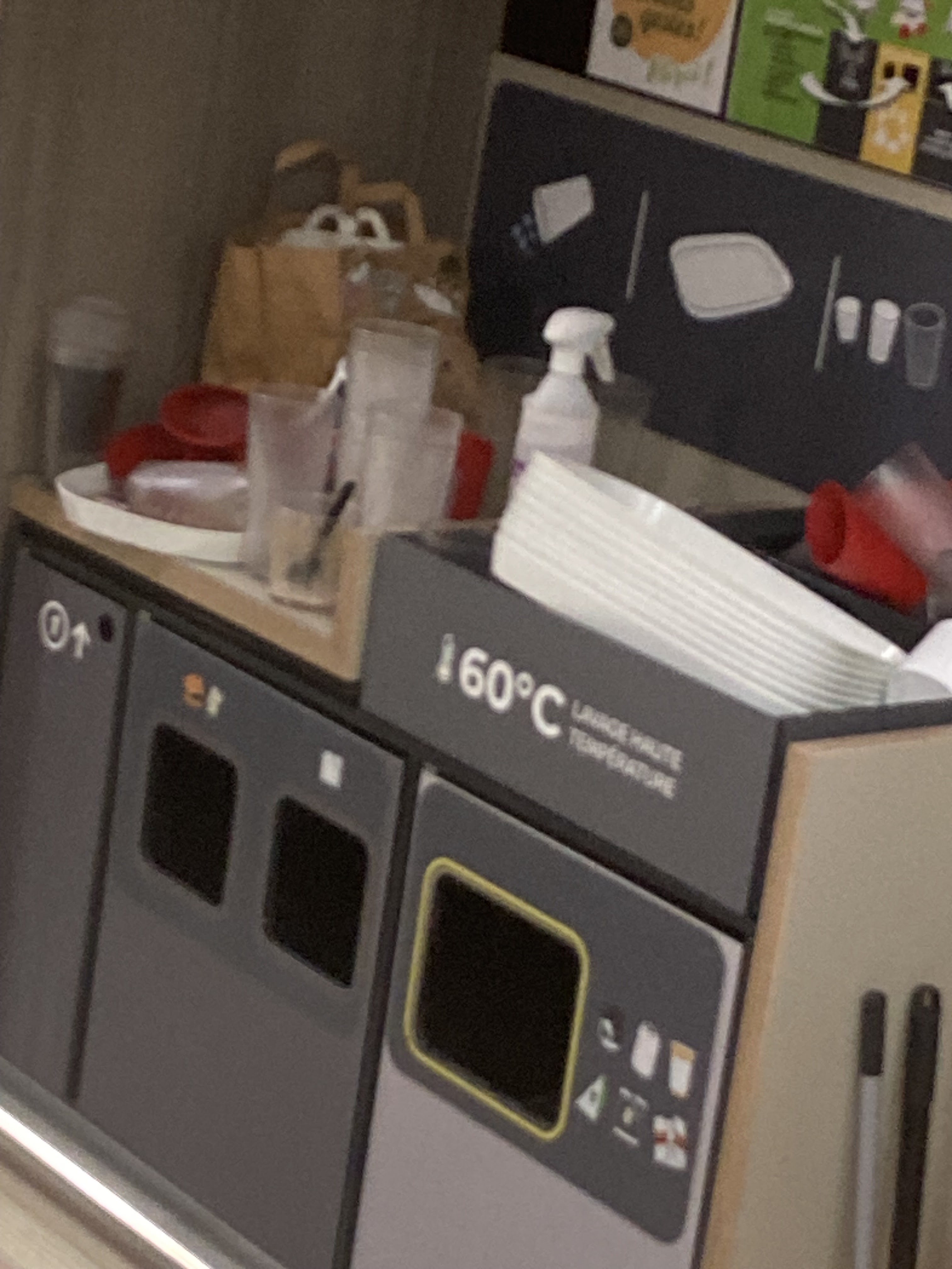 Photo n° 2 de l'avis de Ras.i fait le 01/02/2024 à 19:31
