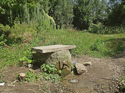 Купальня - 09100, Sholom-Aleikhema St, Bila Tserkva, Kyiv Oblast, Ukraine