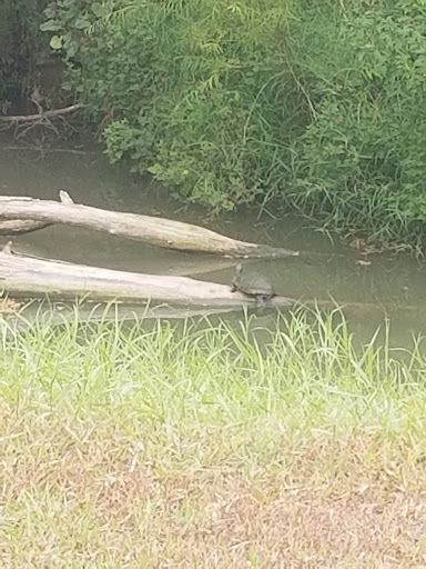 RV Park «Hidden Valley RV Park», reviews and photos, 5706 Coleman Way, Von Ormy, TX 78073, USA