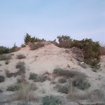 Photo n°4 de l'avis de Marcello.u fait le 01/10/2023 à 17:56 sur le  Med OsteriaMediterranea à Tirrenia