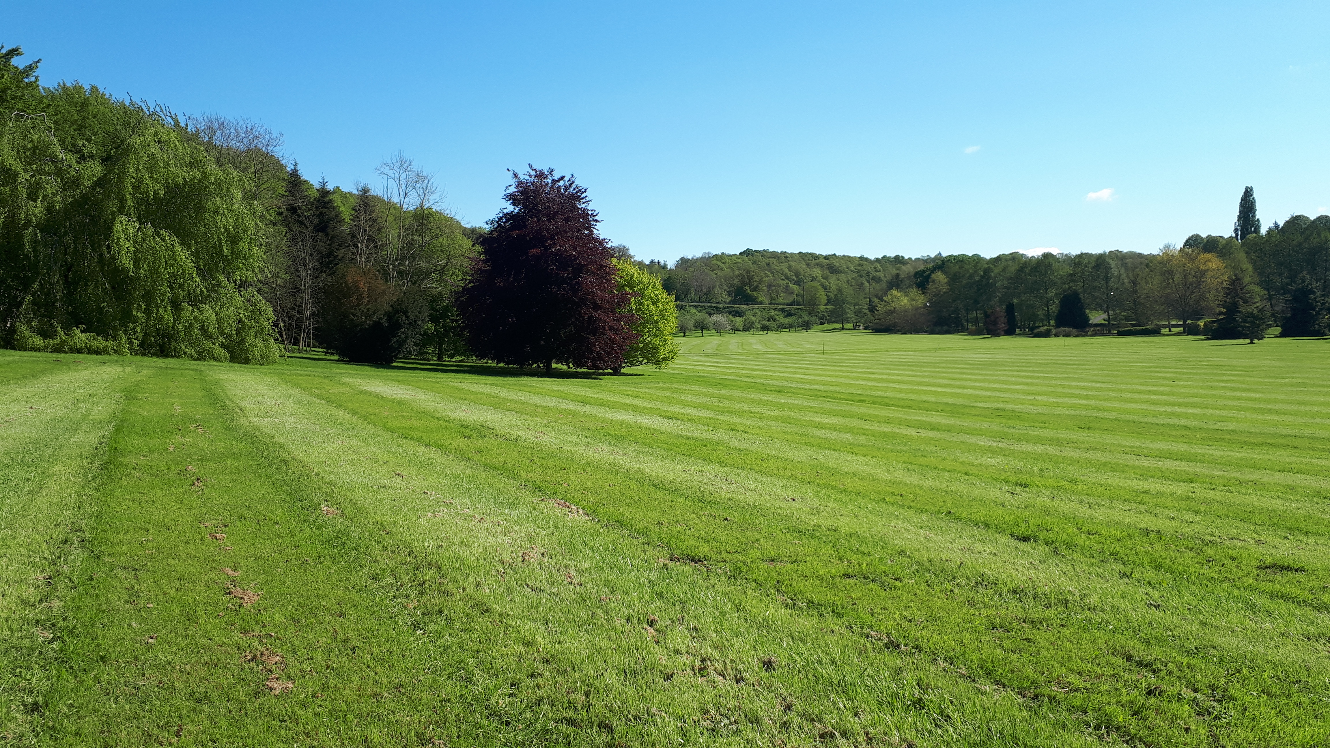 Photo n° 10 de l'avis de Frederic.e fait le 12/05/2019 à 10:55