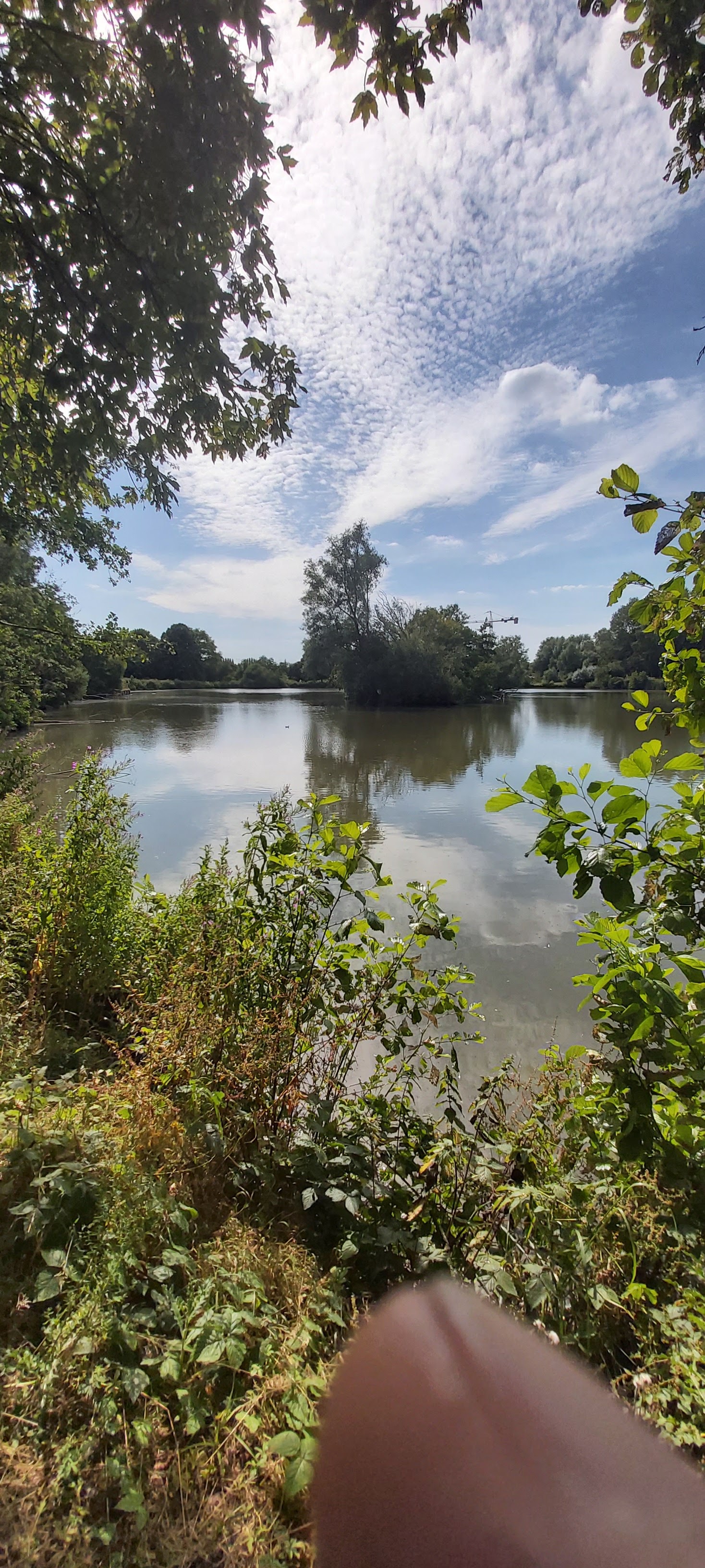 Photo n° 1 de l'avis de Florian.e fait le 25/07/2020 à 16:17
