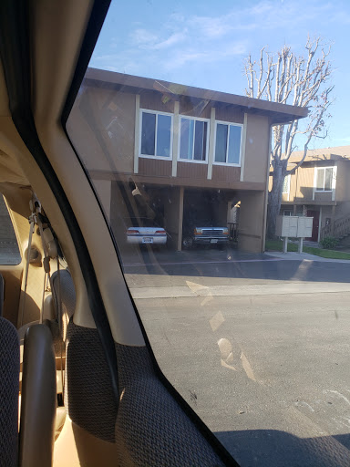 Explore 4 sister tattoo ideas, creative tattoo ideas in San Diego, available at Vivid Tattoo