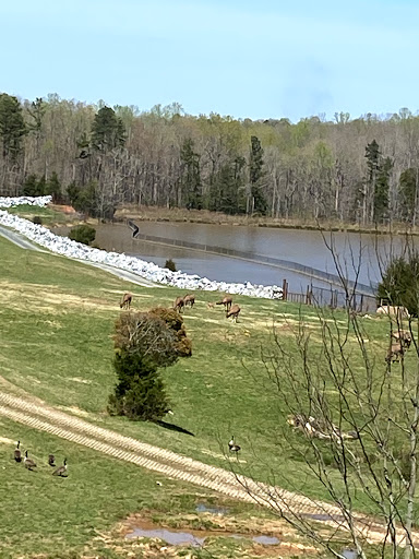 Zoo «North Carolina Zoo», reviews and photos, 4401 Zoo Pkwy, Asheboro, NC 27205, USA