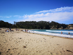 Mckenzies Beach'in fotoğrafı dağlarla çevrili