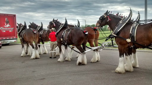 Casino «Miami Valley Gaming», reviews and photos, 6000 OH-63, Lebanon, OH 45036, USA