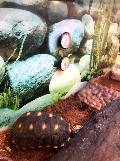 Pet Supply Store «Petco Animal Supplies», reviews and photos, 3264 Buford Dr NE #110, Buford, GA 30519, USA