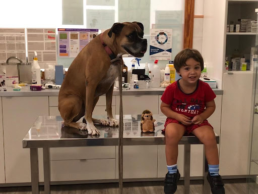 Clínica Veterinaria Es Pla - Porreres en Porreres