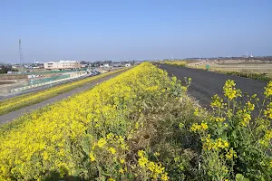 Yoshikawachiku Edogawa Large Sports Park image