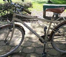 Parque Floresta Coyoacán photo