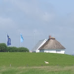 Photo n°2 de l'avis de Karl-Heinz.o fait le 29/05/2023 à 15:34 sur le  Hallig Krog à Reußenköge