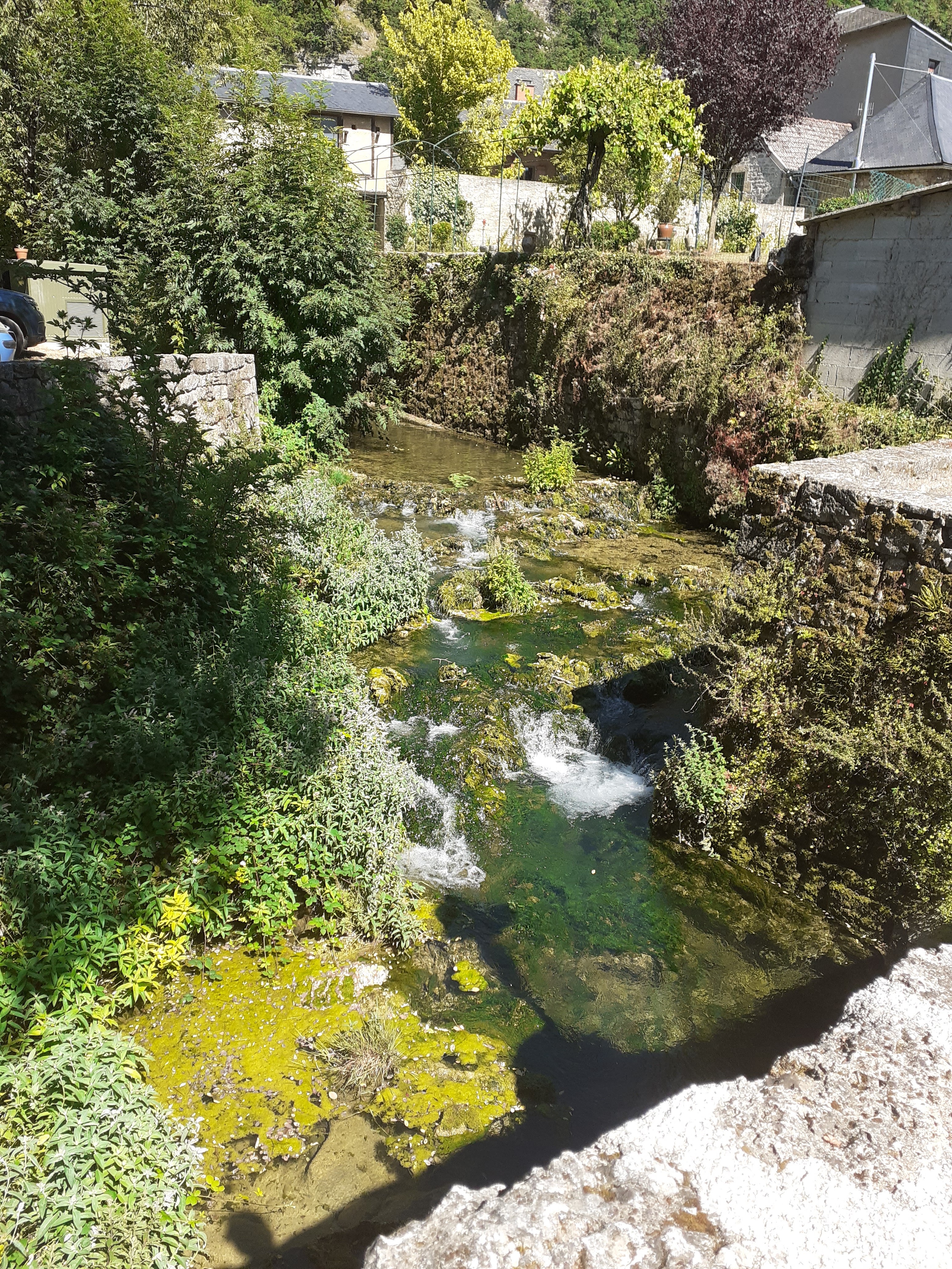 Photo n° 7 de l'avis de laurence.a fait le 19/07/2020 à 15:08