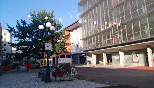 Distribus à Saint-Louis