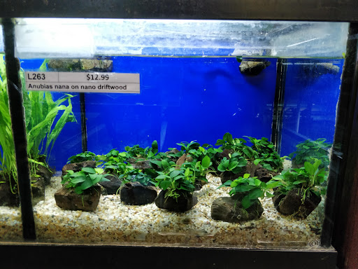 Pet Store «All Pet Center», reviews and photos, 1950 S Atlantic Blvd, Monterey Park, CA 91754, USA